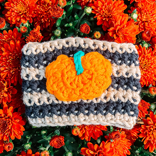 Pumpkin Coffee Cozy