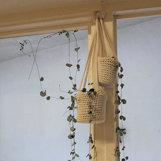 Hanging Baskets for House Plants