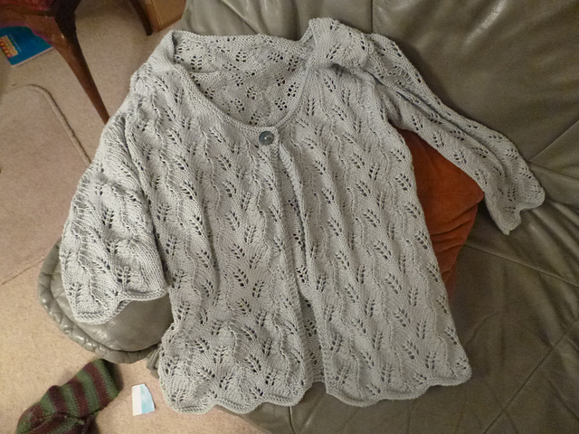 Fern Lace Cardigan