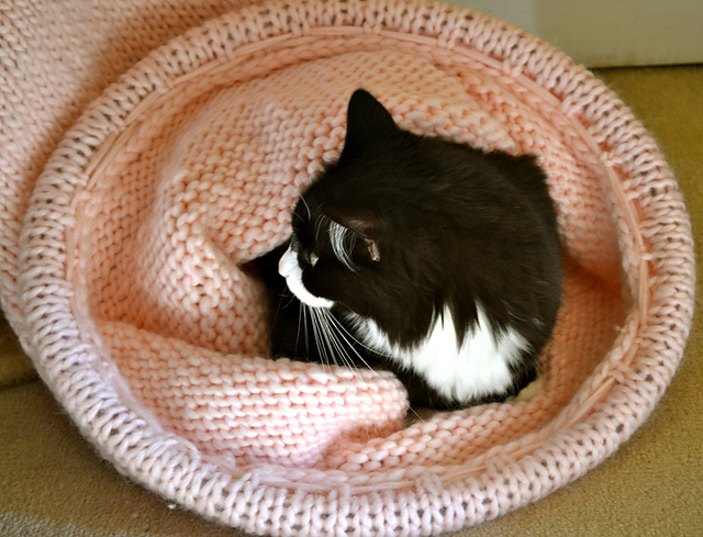 Knitted Cat Tunnel