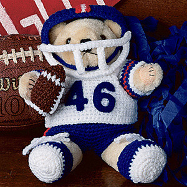 Touchdown Teddy