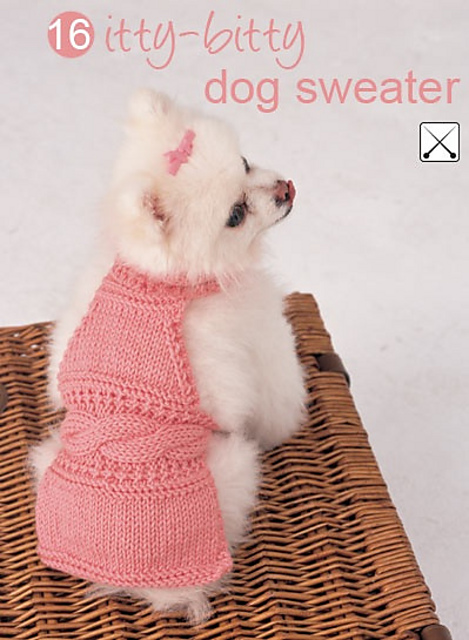 Itty Bitty Dog Sweater