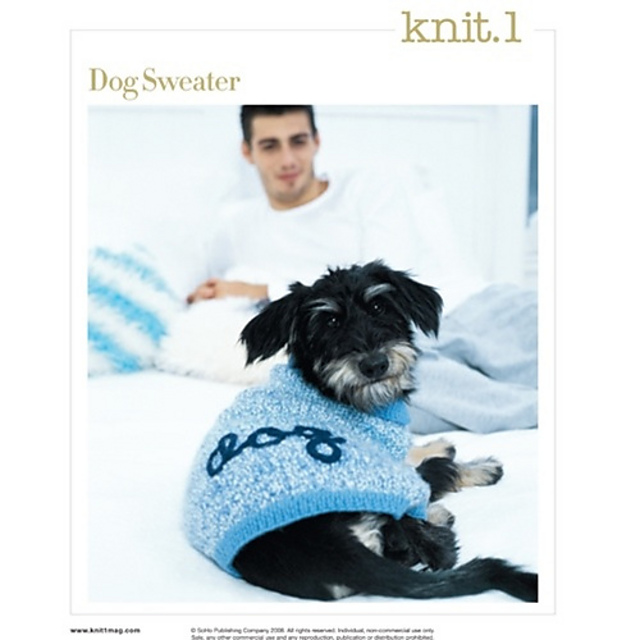 #39 Dog Sweater