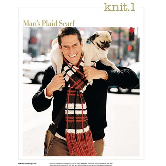 #26 Man's Plaid Scarf