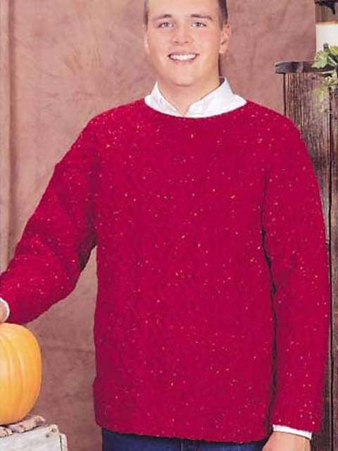Cranberry Tweed Pullover