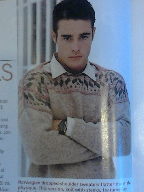A Norwegian Pullover-Leaf Design