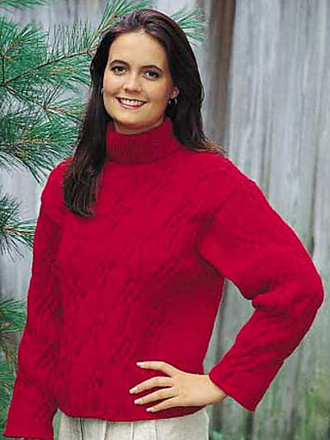 Ruby Cabled Turtleneck