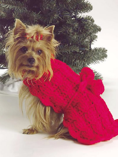Fido’s Turtleneck