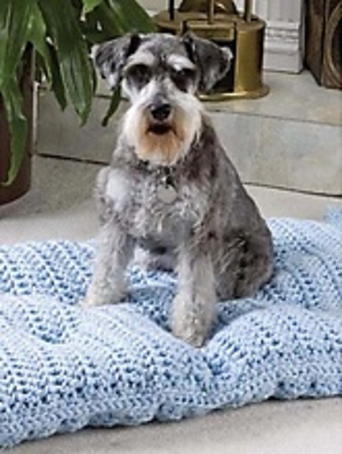 Pampered Pets - Posh Pillow