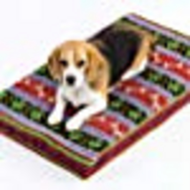 Fair Isle Dog Bed: See Spot Sleep
