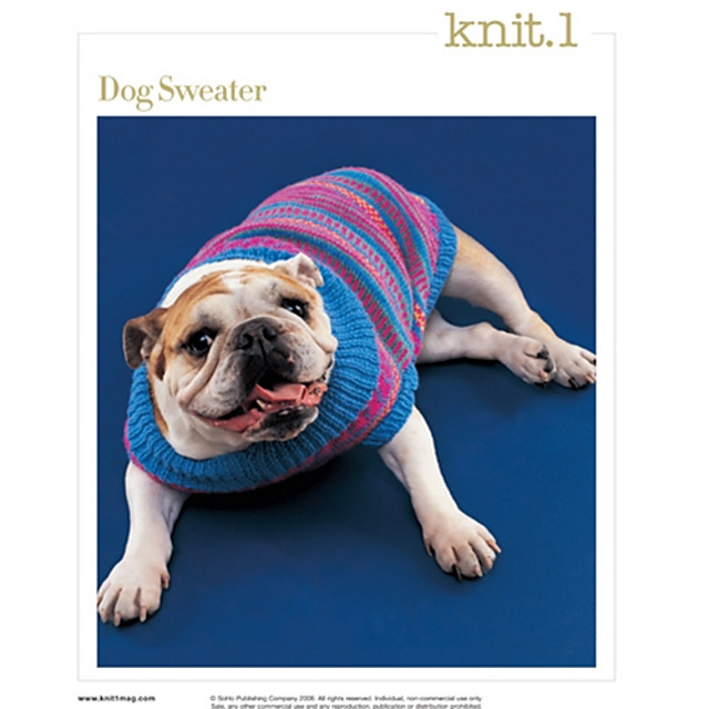#12 Dog Sweater