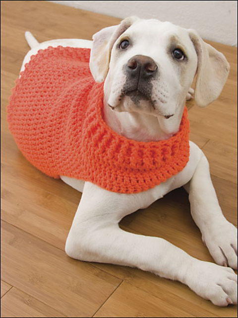 Hunter's Dog Sweater