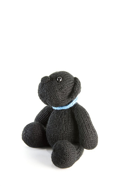 Peanut the Pug Dog for Battersea
