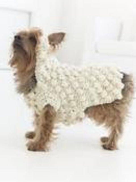 Year of the Dog Sweater