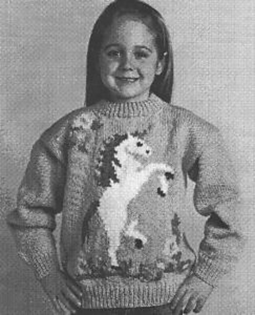 Unicorn Pullover No. 18864