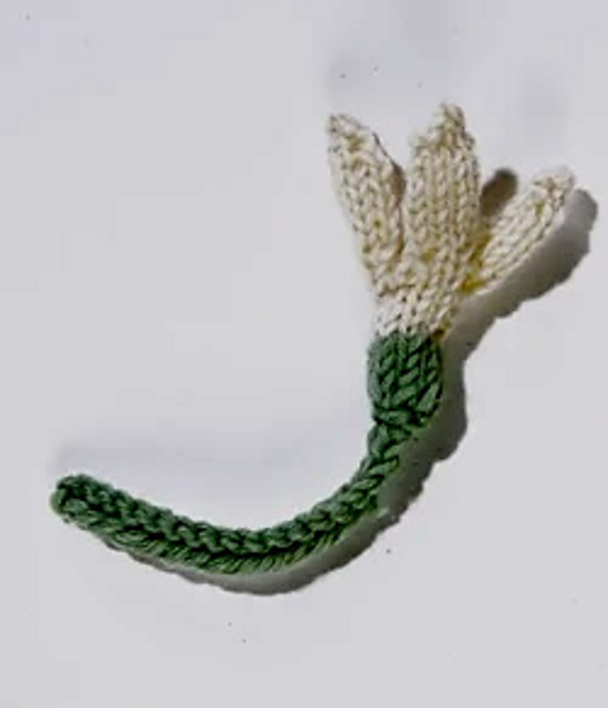 Snowdrop
