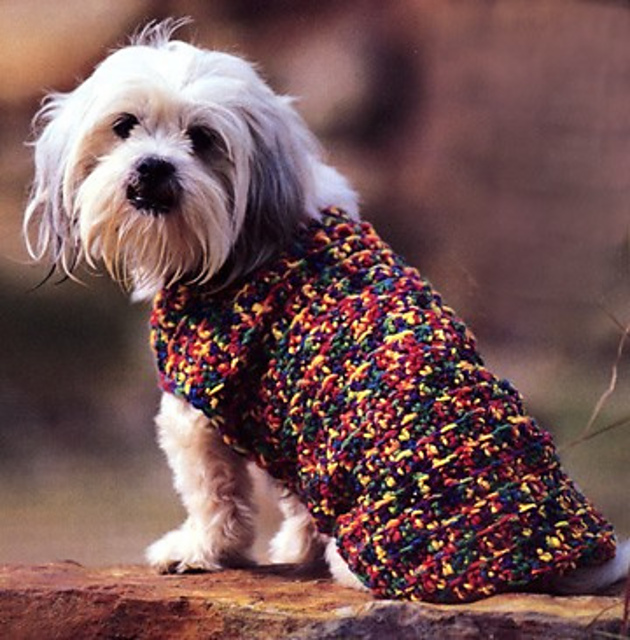 Doggone Cute Sweater