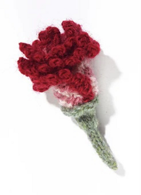 Clove Carnation
