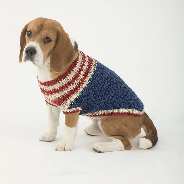The Patriot Dog Sweater