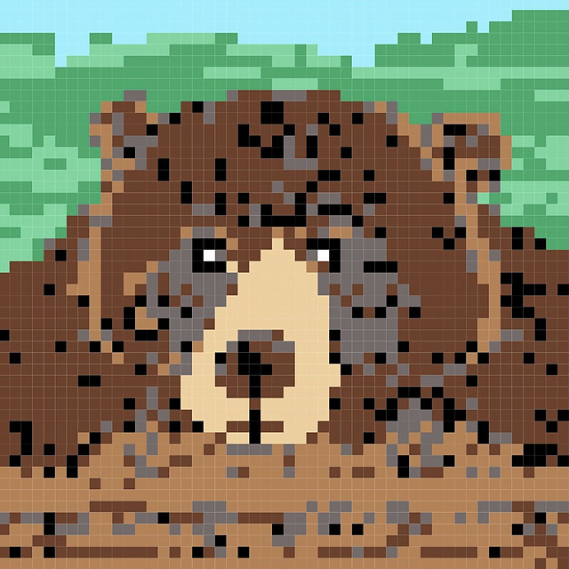 Bear C2C Graphgan Blanket