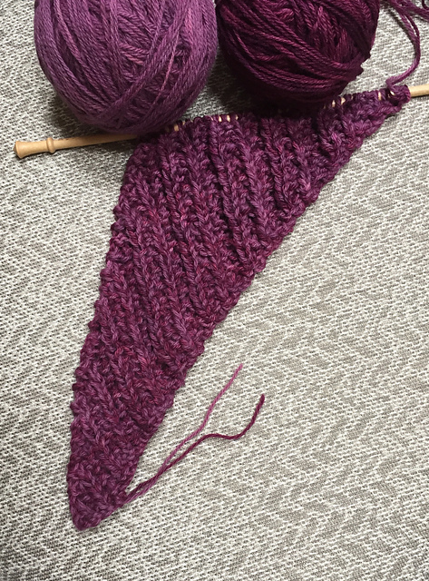 Reversible Boomerang with Twin Ribs