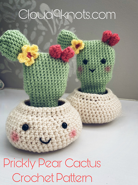 Prickly Pear Cactus