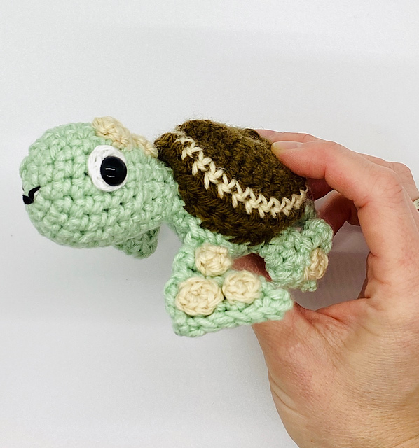 Sea Turtle