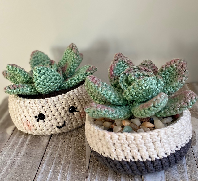 Rosette Succulent