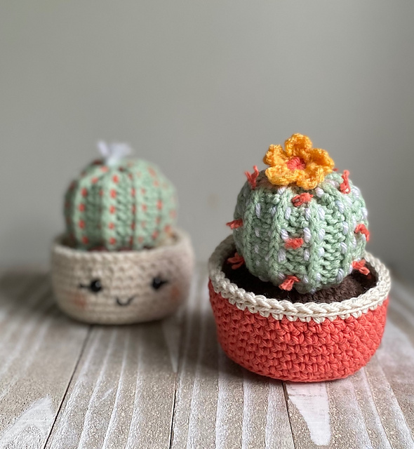 Barrel Cactus