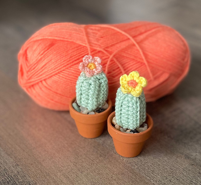 Pequeno Cactus