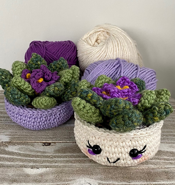 African Violet