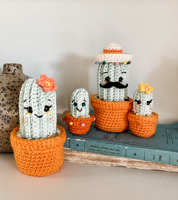 Fiesta Family Cacti
