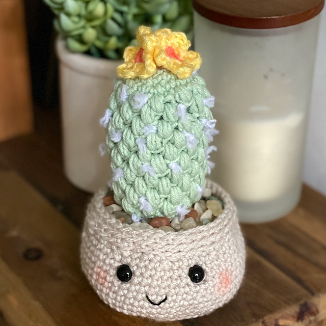 Pineapple Cactus