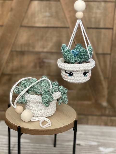 Mini Hanging Succulents
