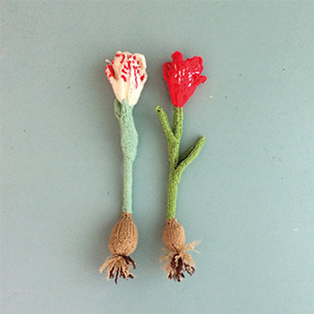 Tulpen