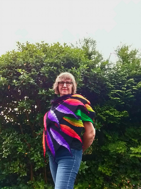 dreambird shawl