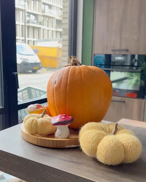 Speedy Little Pumpkin