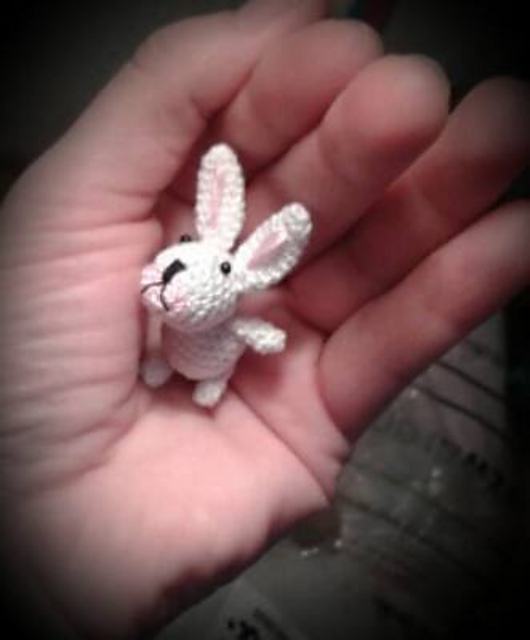 Hase / bunny