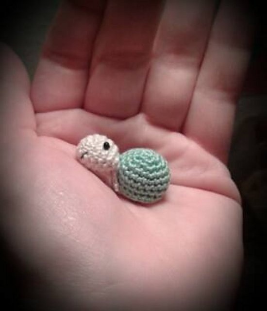 Schildkröte / turtle