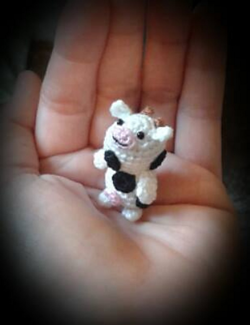 Kuh / cow