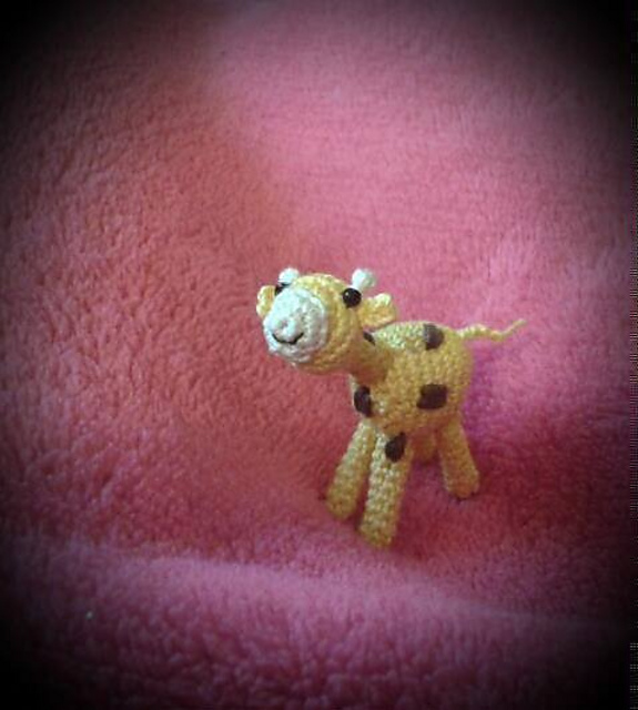 Giraffe /giraffe