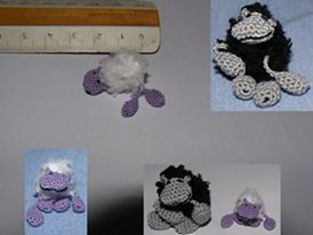 Schaf  // sheep