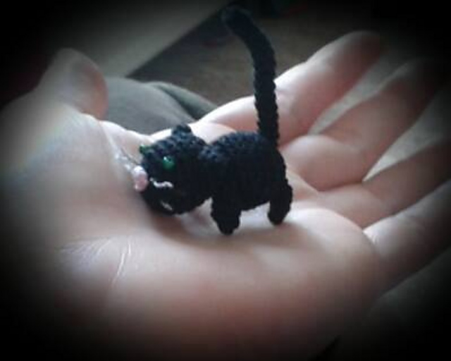 Katze / cat