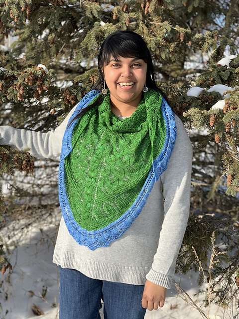Planet of Beauty Shawl