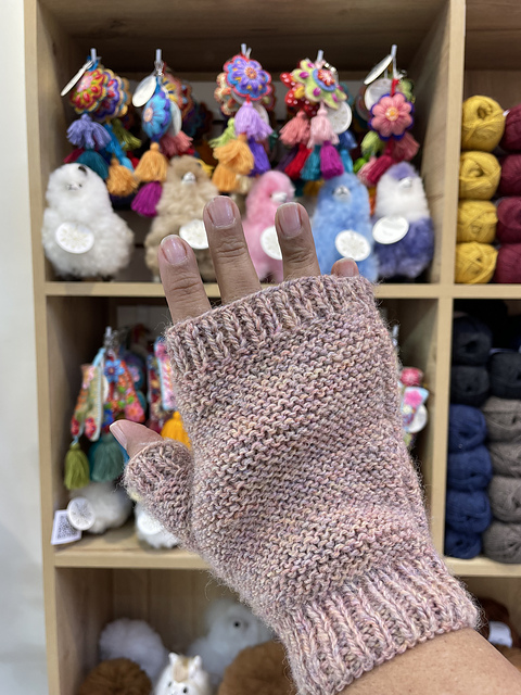 Wool Mittens