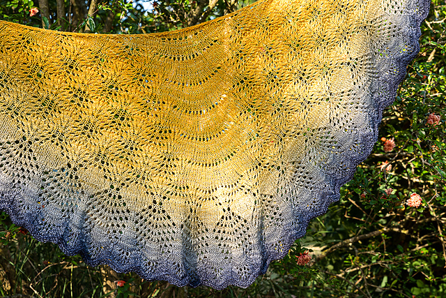 Fleur d'étoile