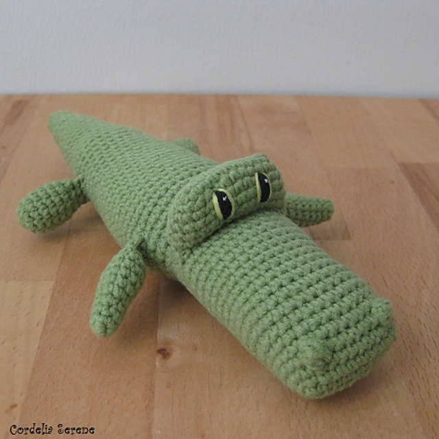 Alligator