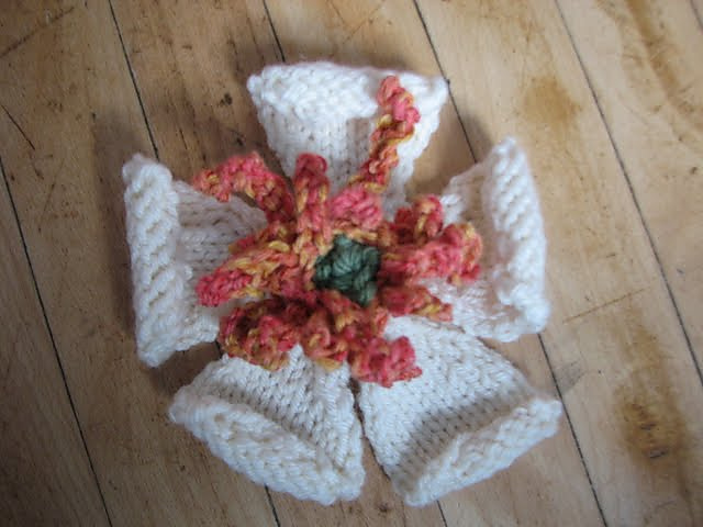 Christmas Rose