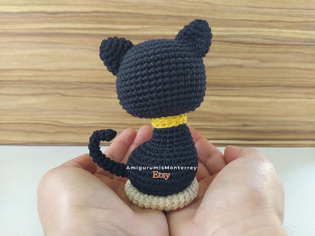 Black Cat Kitten
