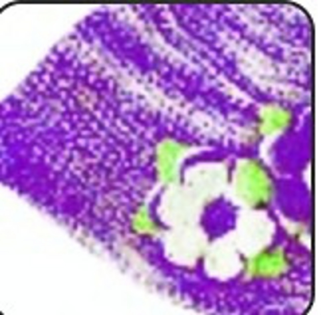 Girl's Crochet Hat With Flower Accent